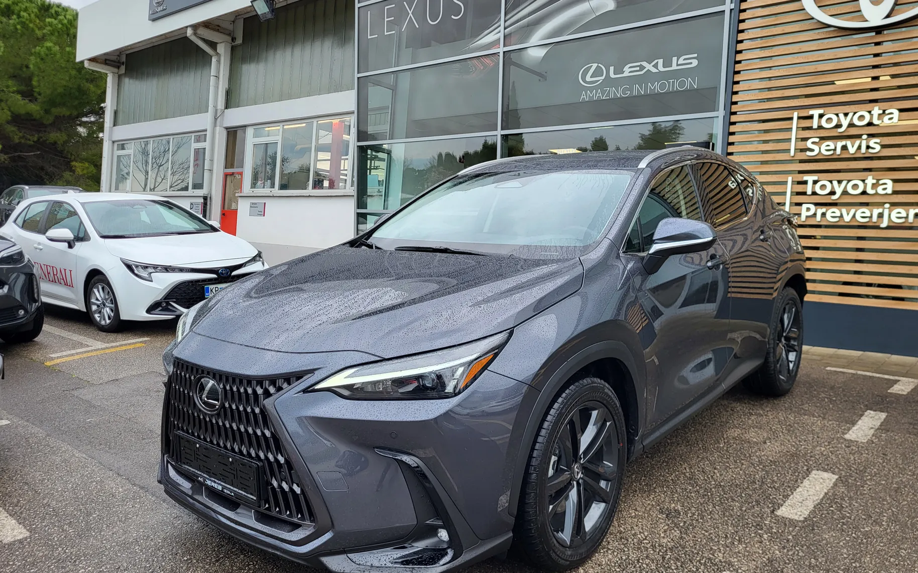 Zunanja slika - Lexus NX - NX - 1