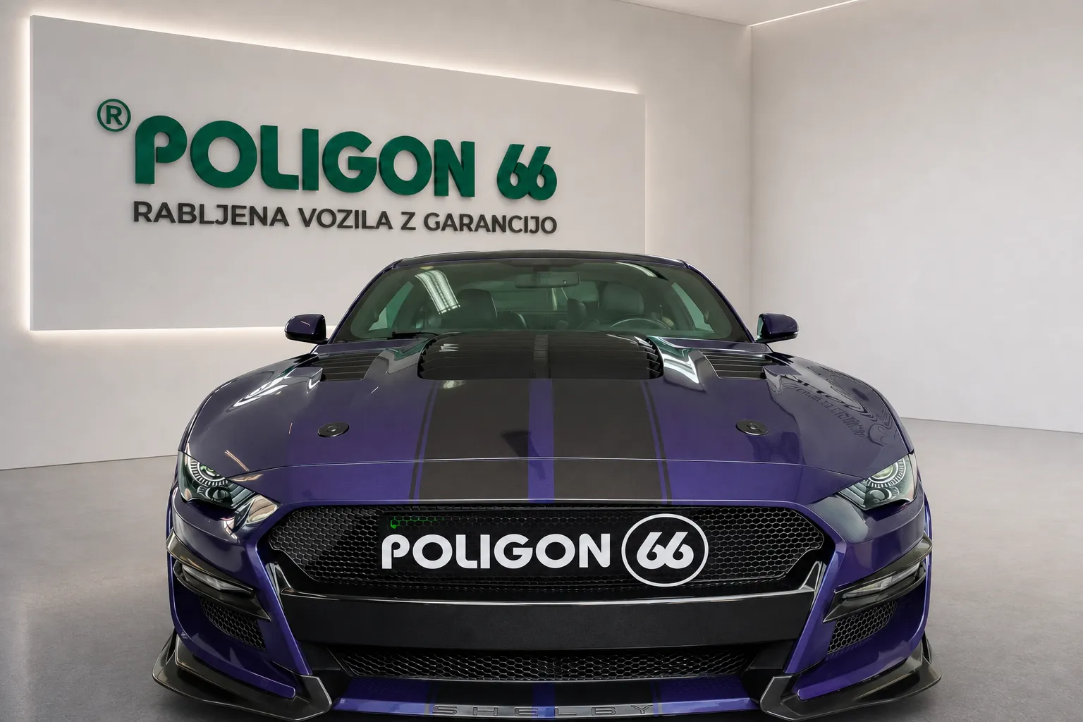 Zunanja slika - Ford Mustang - 2.3 EcoBoost Avt.-SHELBY OPTIC-M 2020-1 LASTNIK... - 6