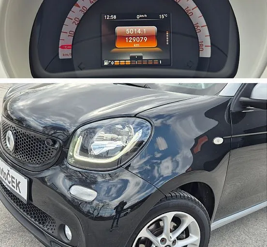 Zunanja slika - Smart Smart forfour - forfour PASSION + BREZ POLOGA - 11