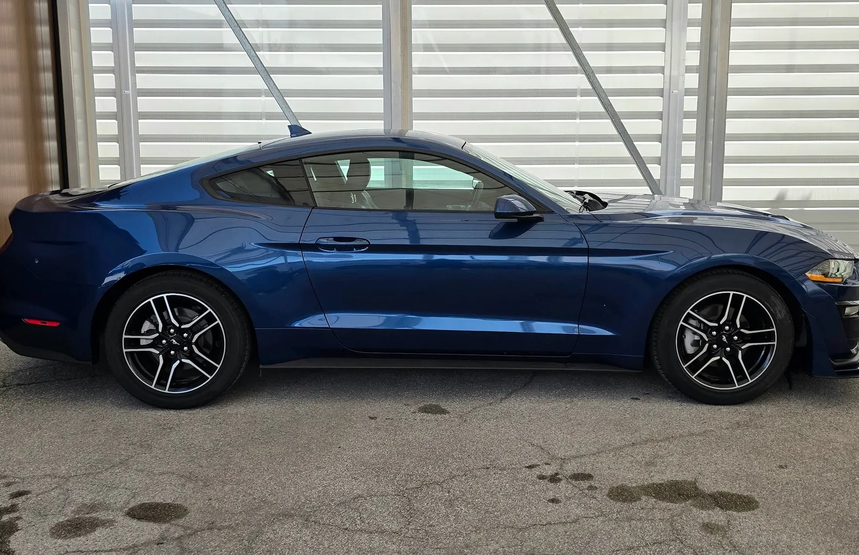 Zunanja slika - Ford Mustang - 2.3 - LED - USNJE - GR. + HLAJ. SED. - KAMERA - 5