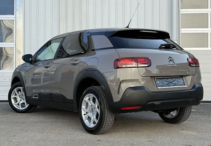 Zunanja slika - Citroën C4 Cactus - Shine PureTech 110 SLOVENSKI - 6