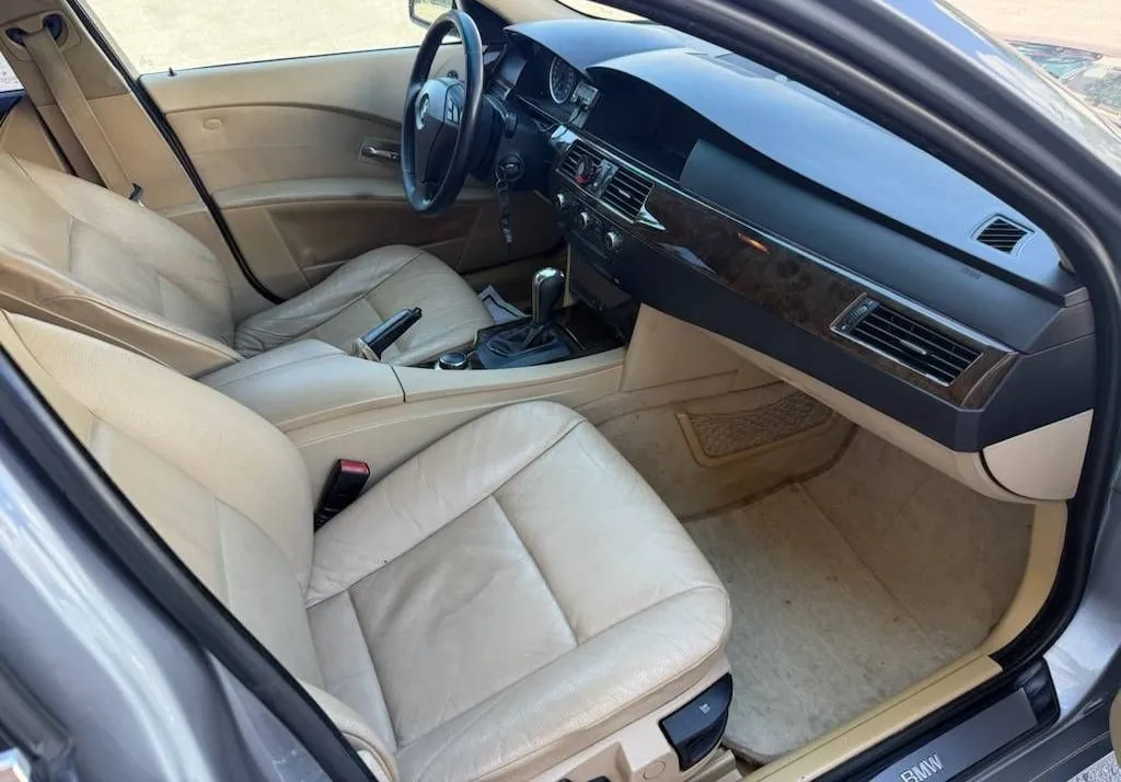 Zunanja slika - BMW serija 5: - 530xd - 6