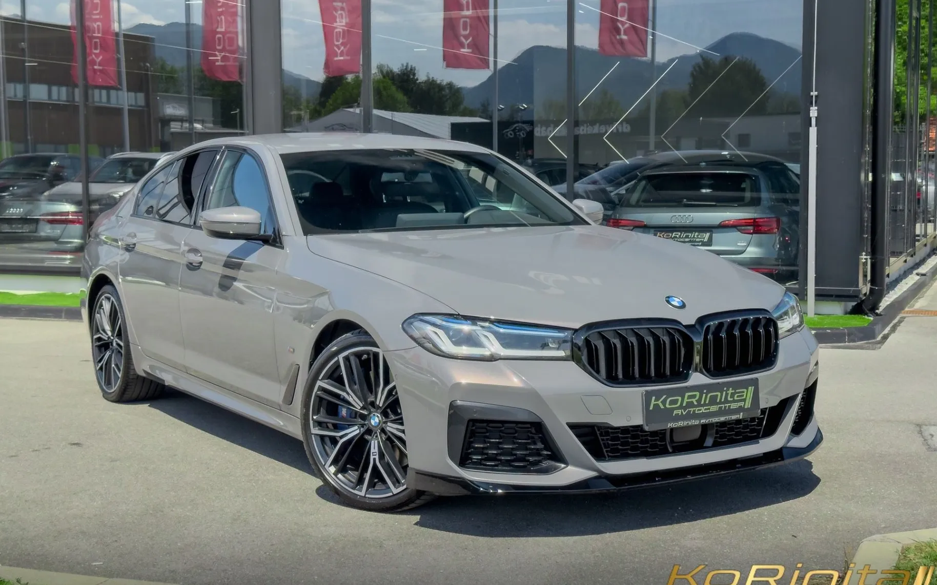 Zunanja slika - BMW serija 5: - 530d xDrive Avt. - 3