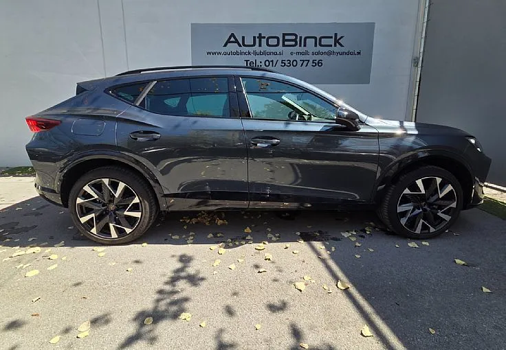 Zunanja slika - Cupra Formentor - 4Drive 2.0 TSI DSG - 6