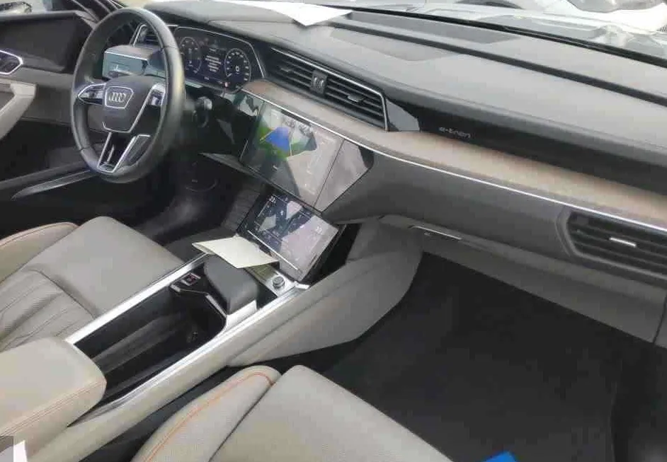 Zunanja slika - Audi e-tron - 55 quattro Advanced.NEMŠKI.PANORAMA.KLJUKA.USNJE - 15