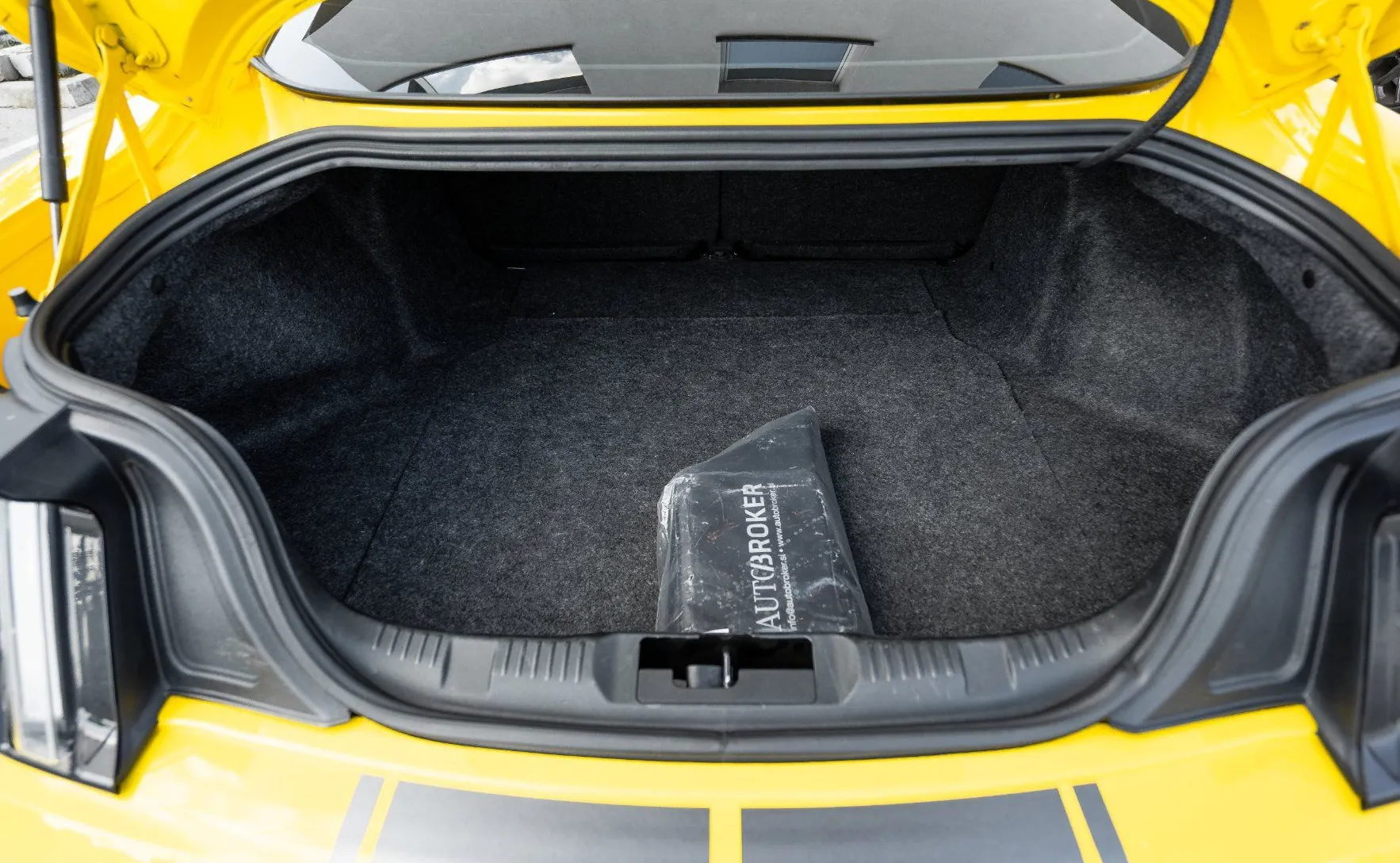 Zunanja slika - Ford Mustang - 2.3 EcoBoost kamera xenon ambientalna osvet. - 17
