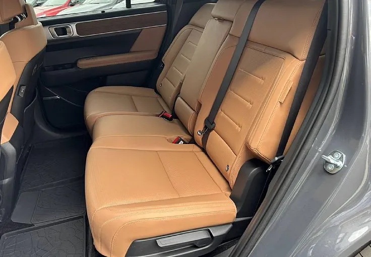 Zunanja slika - Hyundai Santa Fe - 4WD 1.6 PHEV Hybrid Impression Avt. - 6