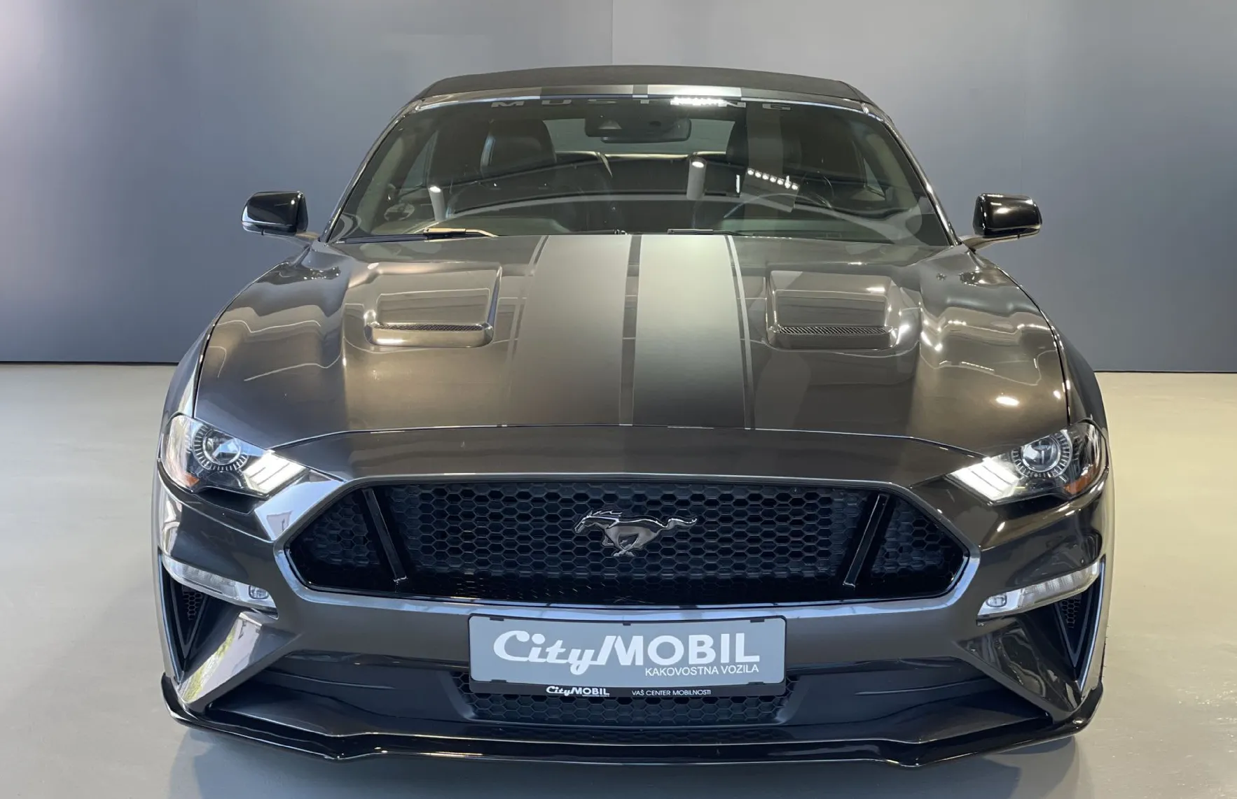 Zunanja slika - Ford Mustang - 5.0-V8-GT-HLAJENJE SED-MEMORY-USNJE-RADAR-LED-20C - 2