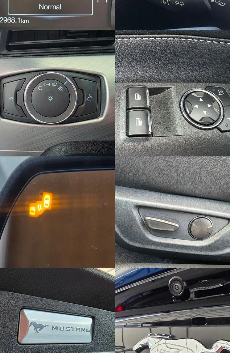 Zunanja slika - Ford Mustang - 2.3 - LED - USNJE - GR. + HLAJ. SED. - KAMERA - 17
