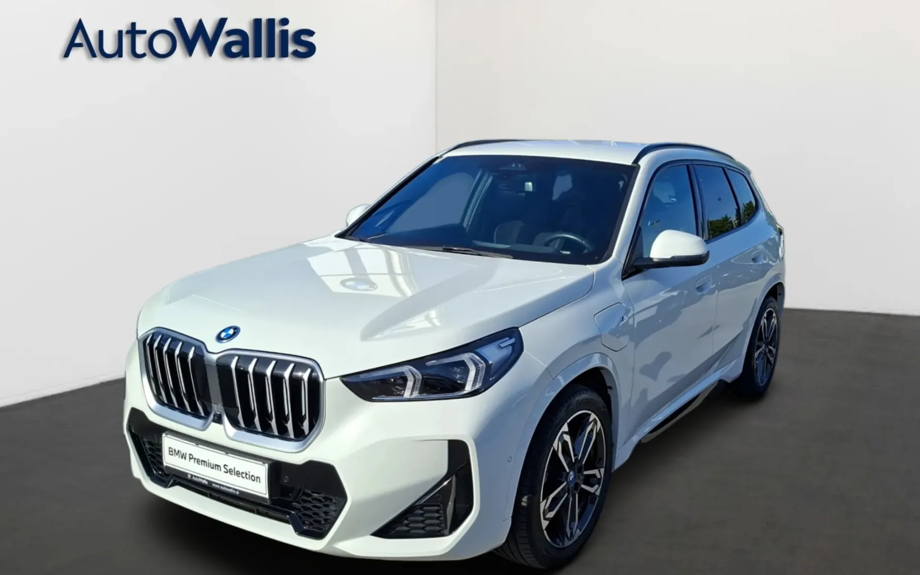 Zunanja slika - BMW X1 - xDrive30e - 1