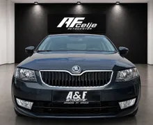 Zunanja slika - Škoda Octavia - 1.6 TDI-NAVIGACIJA-LIZING ZA TUJCE-PDC-ODLIČEN- - 2 - Predogledna slika