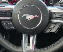 Zunanja slika - Ford Mustang - 2.3 - LED - USNJE - GR. + HLAJ. SED. - KAMERA - 10 - Predogledna slika