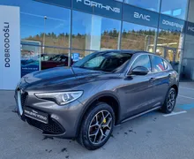 Zunanja slika - Alfa Romeo Stelvio - 2.0 Turbo Q4 200 Avtomatik - OKVARA MOTORJA - 1 - Predogledna slika