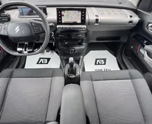 Zunanja slika - Citroën C4 Cactus - 1.2 THP PureTech S S Rip Curl... - 11 - Predogledna slika