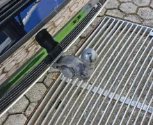 Zunanja slika - Volkswagen Golf - 2.0 TDI Style DSG - 12 - Predogledna slika