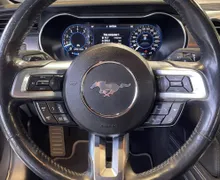 Zunanja slika - Ford Mustang - 5.0-V8-GT-HLAJENJE SED-MEMORY-USNJE-RADAR-LED-20C - 12 - Predogledna slika