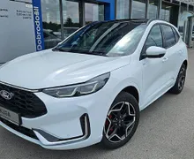 Zunanja slika - Ford Kuga - 2.5 FHEV ST-Line X Aut. - 10 - Predogledna slika