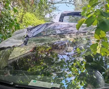 Zunanja slika - Peugeot 1007 - Sporty 1,6 2-Tronic - 7 - Predogledna slika