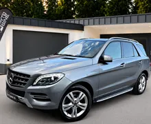 Zunanja slika - Mercedes-Benz ML-Razred - ML 250 BlueTEC Avt... - 7 - Predogledna slika