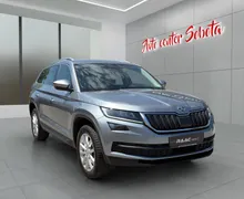 Zunanja slika - Škoda Kodiaq - 2,0 TDI AUT. - 1 - Predogledna slika