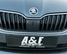 Notranja slika - Škoda Octavia - 2.0 TDI-DSG-XENON+LED-175.000km-LIZING ZA TUJCE-.. - 8 - Predogledna slika