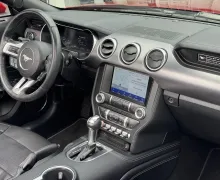 Zunanja slika - Ford Mustang - 5.0 V8 GT AVT CABRIO 449KM IZVEDBA 55 LET A - 16 - Predogledna slika
