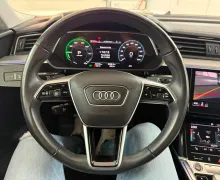 Zunanja slika - Audi e-tron - 55 quattro Advanced.KAMERA.LED.USNJE.NAVI.4X4.ACC - 5 - Predogledna slika