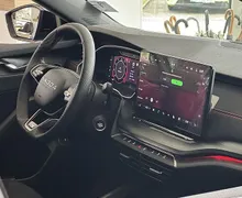 Zunanja slika - Škoda Octavia - RS 2.0 TSI DSG - 11 - Predogledna slika