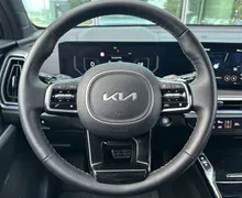 Zunanja slika - KIA Sorento - 2.2 CRDi EX Limited. 8 DCT AWD - 14 - Predogledna slika