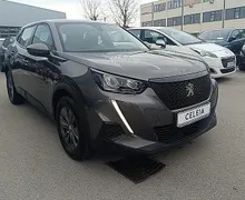Zunanja slika - Peugeot 2008 - 1.2 PURETECH 100 ACTIVE PACK-1.LASTNIK - 2 - Predogledna slika