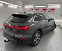 Zunanja slika - Audi e-tron - 50 quattro S line.NEMŠKI+4ALU.KAMERA.NAV.USNJE.LED - 3 - Predogledna slika