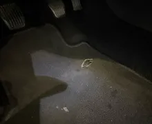 Slika poškodbe - Ford Focus - 1.0 - 167 - Predogledna slika