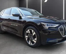 Zunanja slika - Audi e-tron - 55 Advanced quattro... - 2 - Predogledna slika