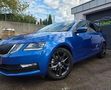 Zunanja slika - Škoda Octavia - Combi 2.0 TDI Family DSG 1 last odlično stanje - 1 - Predogledna slika