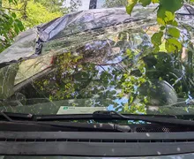 Zunanja slika - Peugeot 1007 - Sporty 1,6 2-Tronic - 6 - Predogledna slika