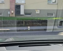 Zunanja slika - Volkswagen Tiguan - 1.5 eTSI 4Joy DSG - 11 - Predogledna slika