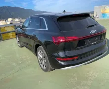 Zunanja slika - Audi e-tron - Audi  50 quattro.NEMŠKI.PANORAMA.KAMERA.LED. - 3 - Predogledna slika