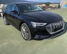Zunanja slika - Audi e-tron - 50 quattro.NEMŠKI.PANORAMA.KAMERA.LED.GRE.SE.USNJE - 2 - Predogledna slika