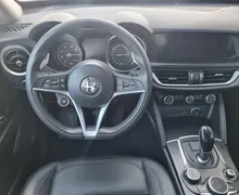 Zunanja slika - Alfa Romeo Stelvio - 2.0 Turbo Q4 200 Avtomatik - OKVARA MOTORJA - 10 - Predogledna slika