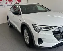 Zunanja slika - Audi e-tron - 55 quattro S line.NEMŠKI+4ALU.KAMERA.USNJE.KLJUKA - 11 - Predogledna slika