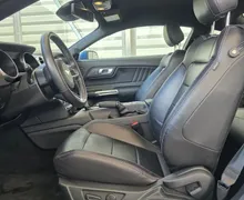 Zunanja slika - Ford Mustang - 2.3 - LED - USNJE - GR. + HLAJ. SED. - KAMERA - 8 - Predogledna slika