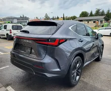 Zunanja slika - Lexus NX - NX - 2 - Predogledna slika