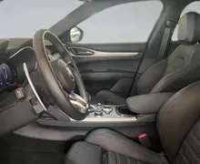 Zunanja slika - Alfa Romeo Stelvio - Q4 2.0 Turbo 280 Veloce Avt. - 7 - Predogledna slika