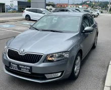 Zunanja slika - Škoda Octavia - 1,6 TDI Active - 3 - Predogledna slika