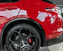 Zunanja slika - Alfa Romeo Stelvio - COMPETIZIONE-Q4-VIRTUAL-NAVI-KEYLESS-RADAR-HK-21C - 8 - Predogledna slika