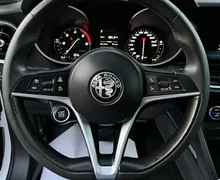 Zunanja slika - Alfa Romeo Stelvio - 2.2D Q4 190KM AVTOMATIK NAVI LED KAMERA 1.lastnik - 13 - Predogledna slika