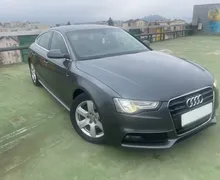 Zunanja slika - Audi A5 - Sportback  S-LINE 110 KW XSENON.PDC.NAVI.DELNO USNJE - 2 - Predogledna slika