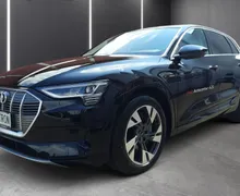 Zunanja slika - Audi e-tron - 55 Advanced quattro... - 1 - Predogledna slika
