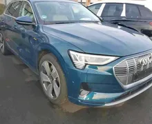 Zunanja slika - Audi e-tron - 55 quattro Advanced.NEMŠKI.PANORAMA.KLJUKA.USNJE - 4 - Predogledna slika
