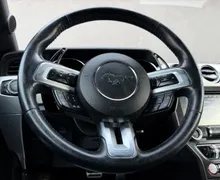 Zunanja slika - Ford Mustang - 2.3 EcoBoost 2.LASTNIK ACC HLAJENJE SED. ALU 19 - 13 - Predogledna slika